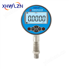 XHP200G耐高溫精密數(shù)字壓力表