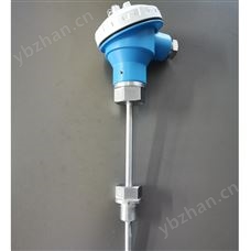 WRWZP-PNNNP750L熱電阻