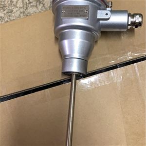 RTD-100-C耐磨热电阻\管道RTD温度测量仪表