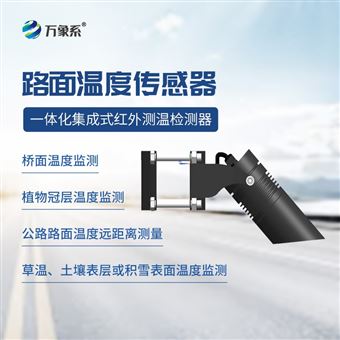 WX-HLW485路面温度传感器