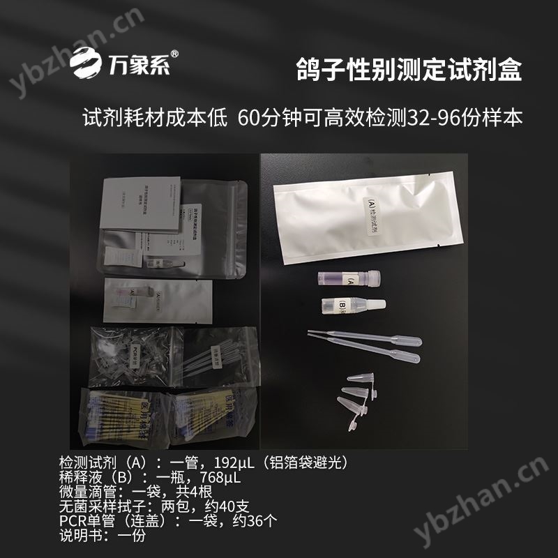 鴿子公母檢測儀