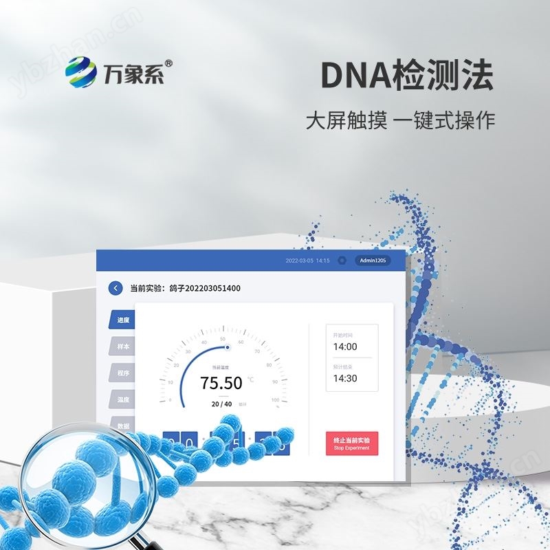 鴿子公母檢測儀