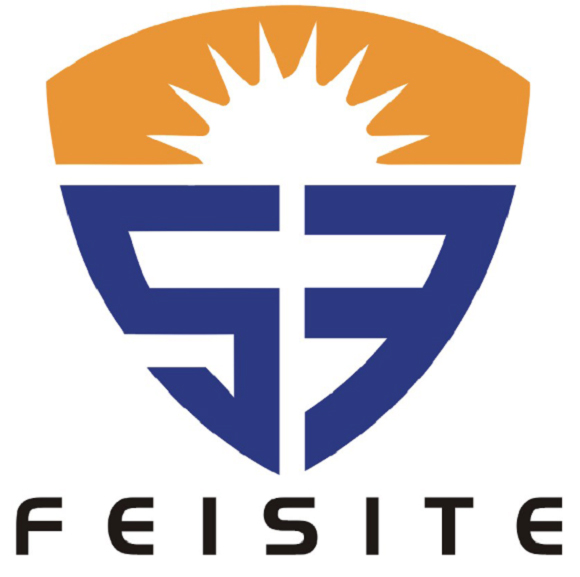 山東菲斯特光電技術(shù)有限公司