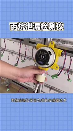 丙烷气体泄露检测仪