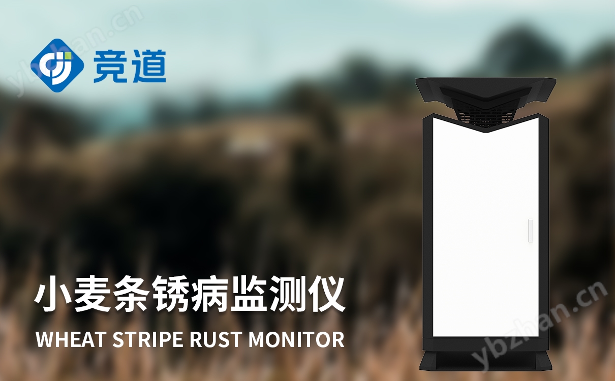 小麥條銹病調查方法