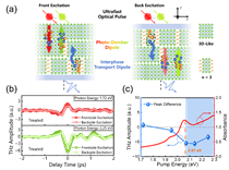 上海光机所在低维钙钛矿中垂直瞬态光电流太赫兹光谱探测方面取得重要进展
