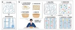 复旦大学张荣君/韦晓玲团队研发成功用于极端环境和多维感知的水凝胶传感器