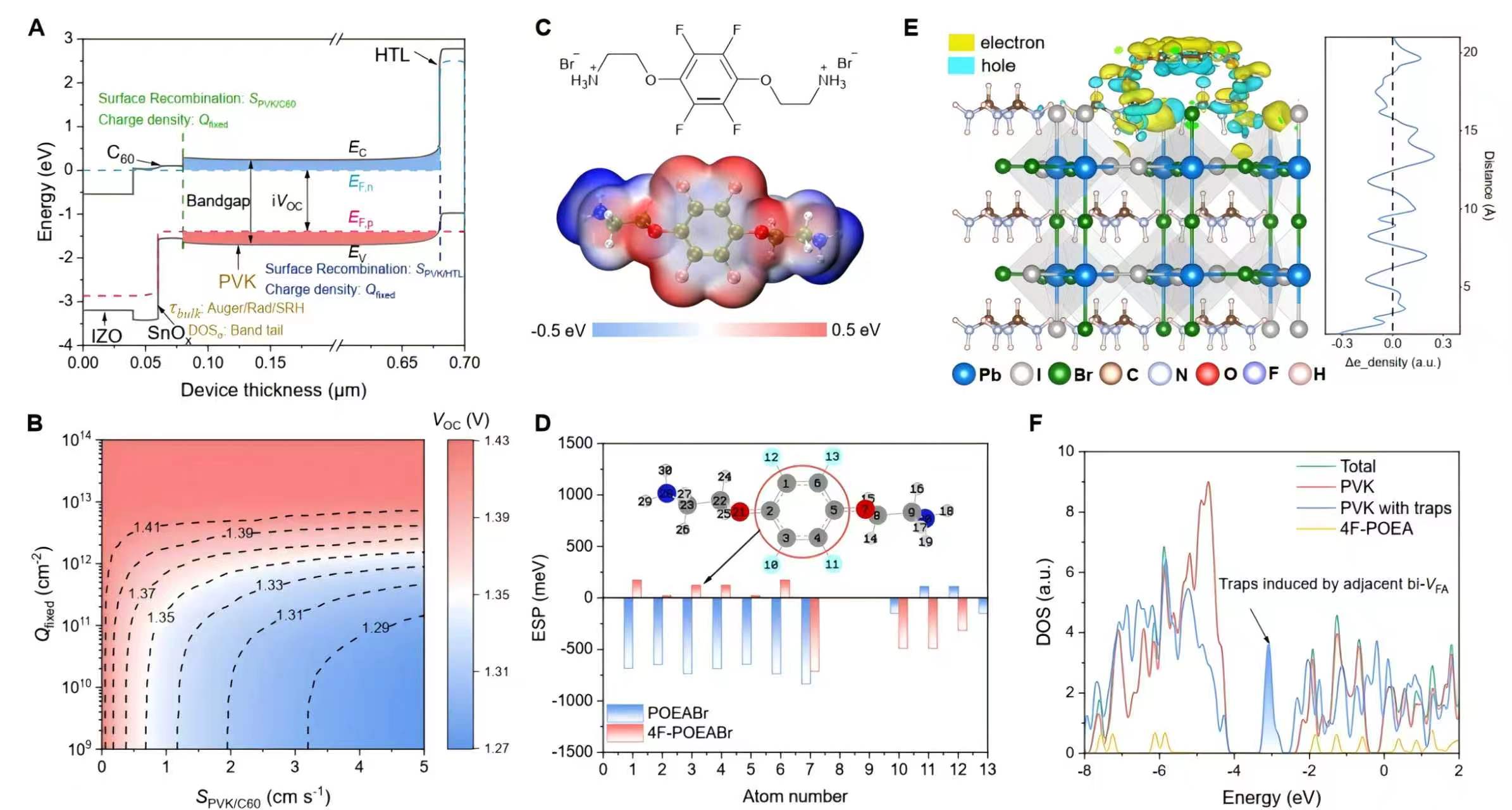 东南大学姚惠峰团队在《Nature》发表最新研究成果