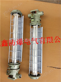 DGS12/127L-12瓦礦用巷道燈