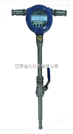 熱式氣體質量流量計