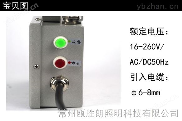 華榮GAD605消防固態(tài)免維護自動應(yīng)急燈 LED長壽燈NFC9178 NFW9189-照明設(shè)備
