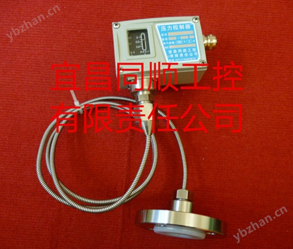 TS-YK防腐法兰远传式压力控制器