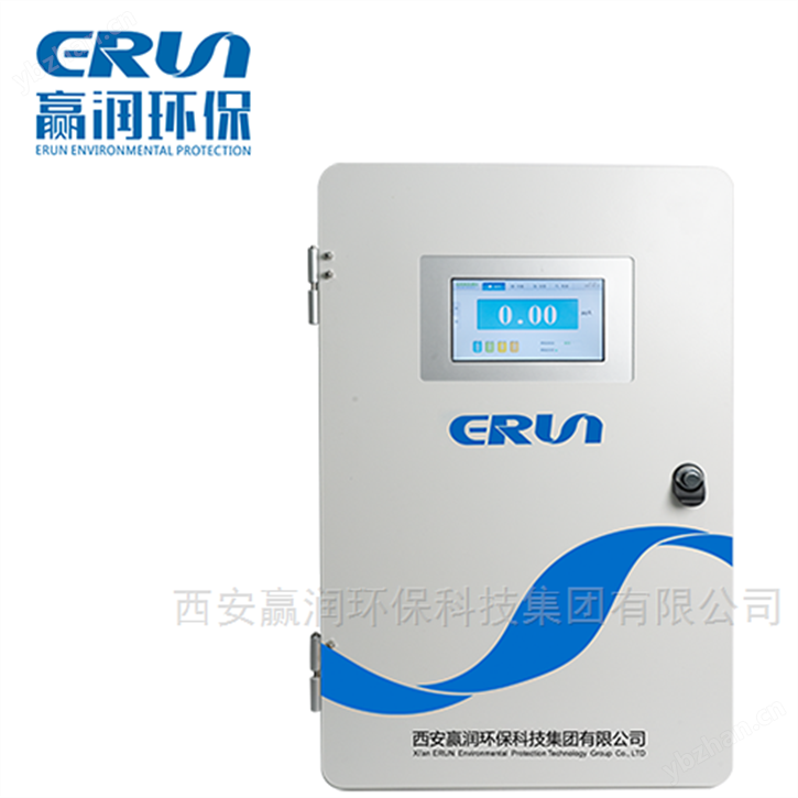 水質(zhì)鈉離子在線分析儀