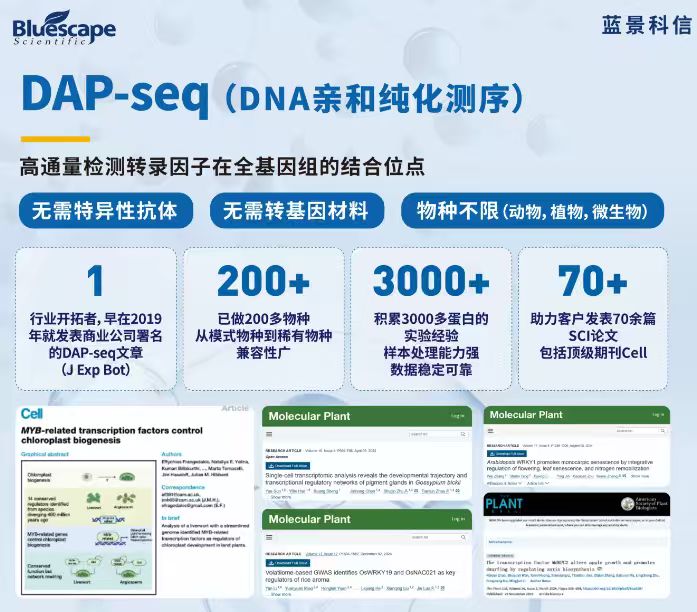 DAP-seq技术助力揭示番茄果实类黄酮生物合成的新机制