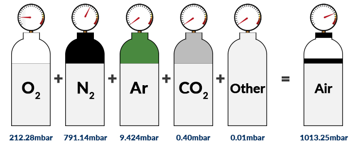 Figure 2 Partial Pressure at 0% Humidity