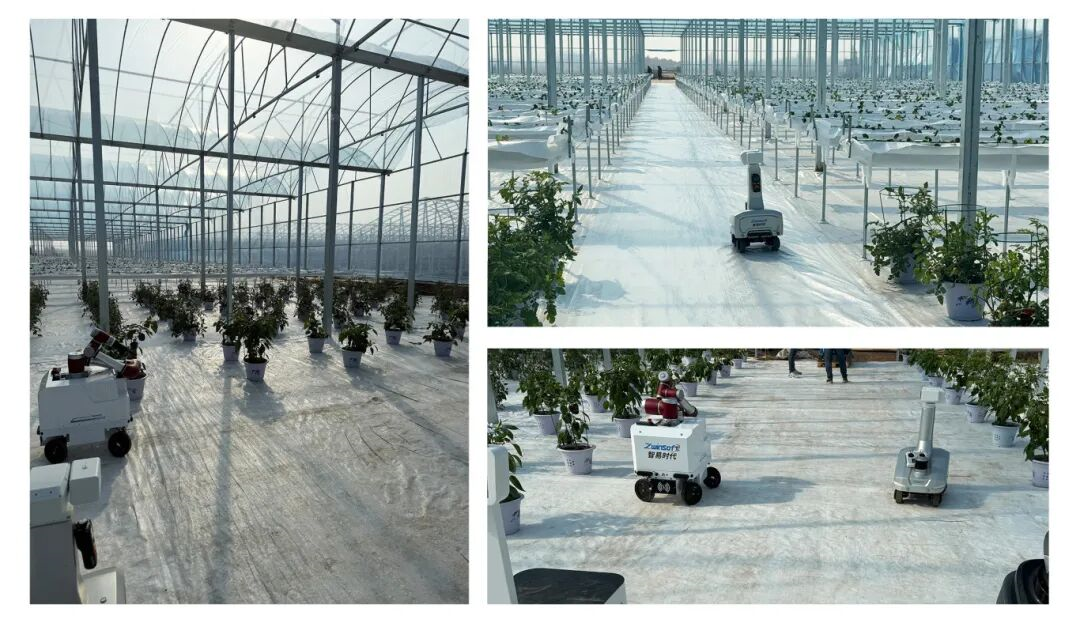 智易时代参加第八届京津冀蔬菜产业发展大会，探索智慧农业发展新机遇