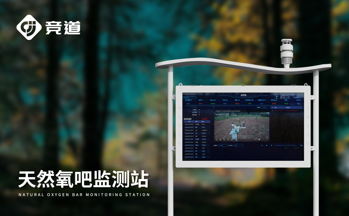 大气负氧离子观测系统 大气负氧离子观测系统