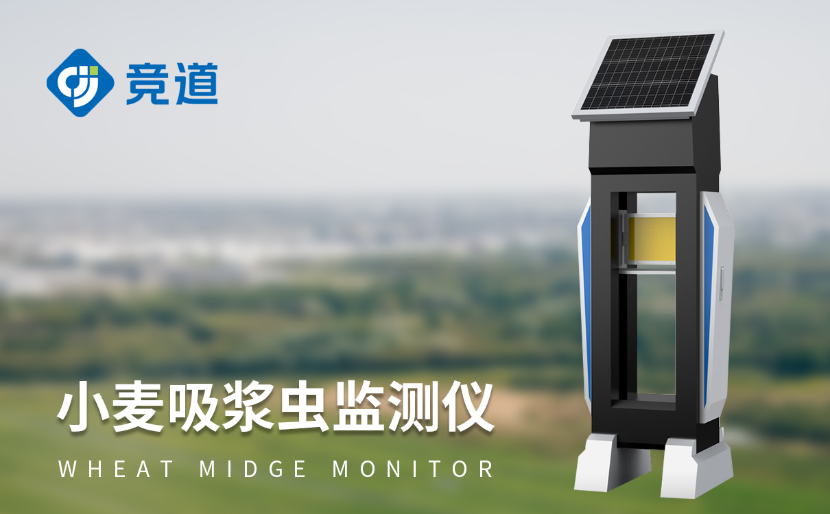 小麦吸浆虫怎么辨别 小麦吸浆虫怎么辨别