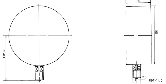 FC-YE-100膜盒压力表
