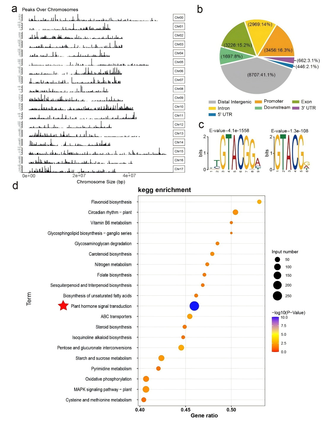 图4.png DAP-seq技术助力揭示独脚金内酯调控苹果腋芽生长的分子机制