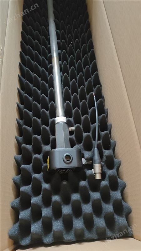 碳王氧探頭 TW08010 800mm