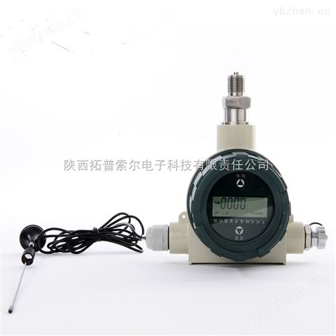 遠(yuǎn)傳型壓力變送器-數(shù)字壓力傳感器