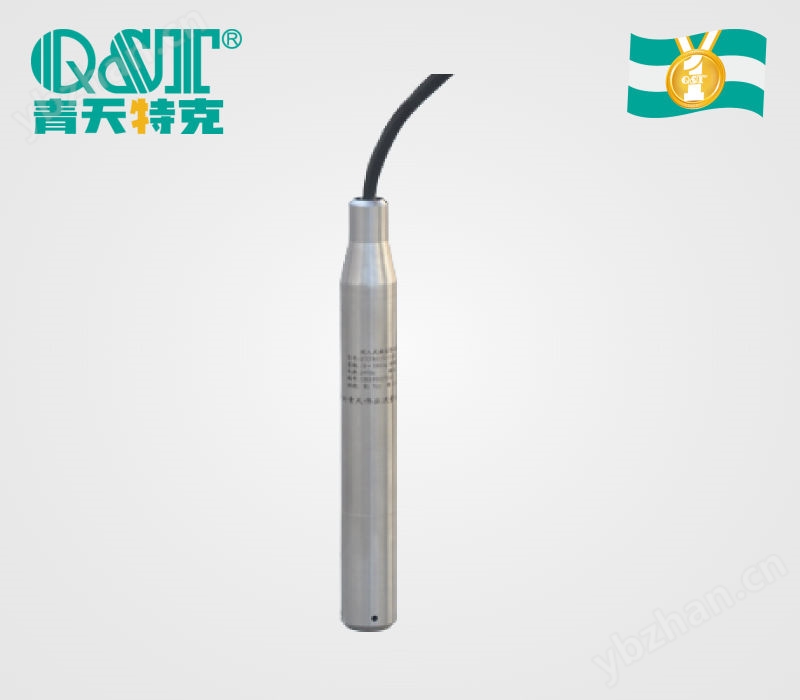 投入式液位計(jì)
